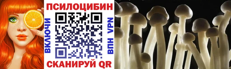 Галлюциногенные грибы прущие грибы  наркотики  Острогожск 
